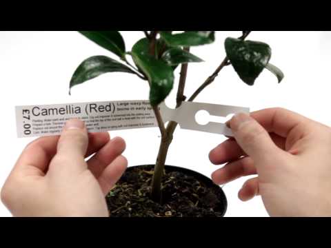 Labelstation LabelStation Pro200 Horticultural Label Printer Starter Bundle ...